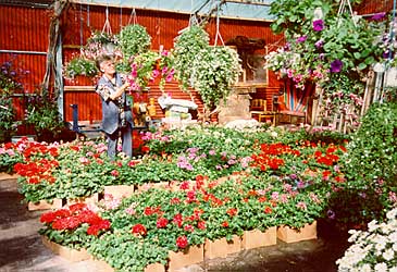 Anita Bargholz sorgt mit ihrem Team dafr, dass Sie mit Ihren Blumen Freude haben und Freude schenken !