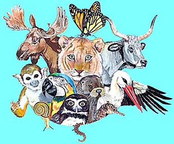 _logo2.jpg (37313 Byte)