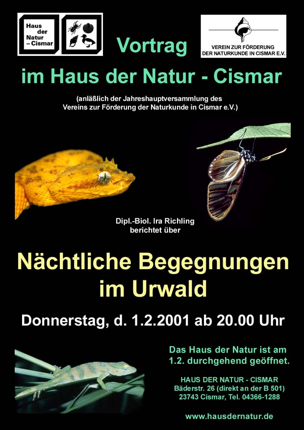 nacht.jpg (88461 Byte)