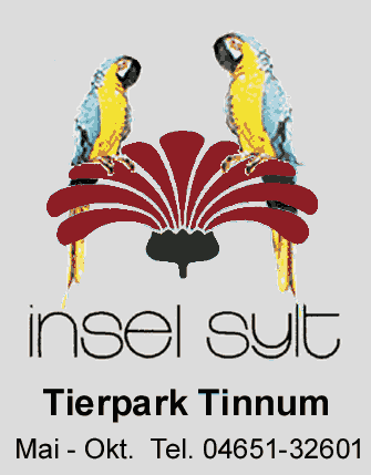 zsylt.gif (13309 Byte)